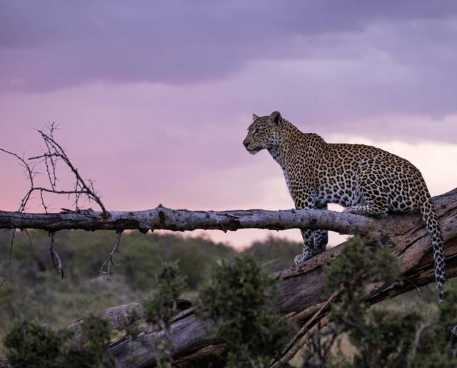Mahali mzuri image 2