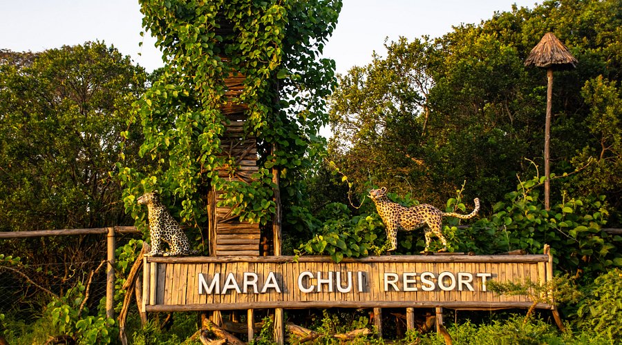 Mara Chui Safari Lodge