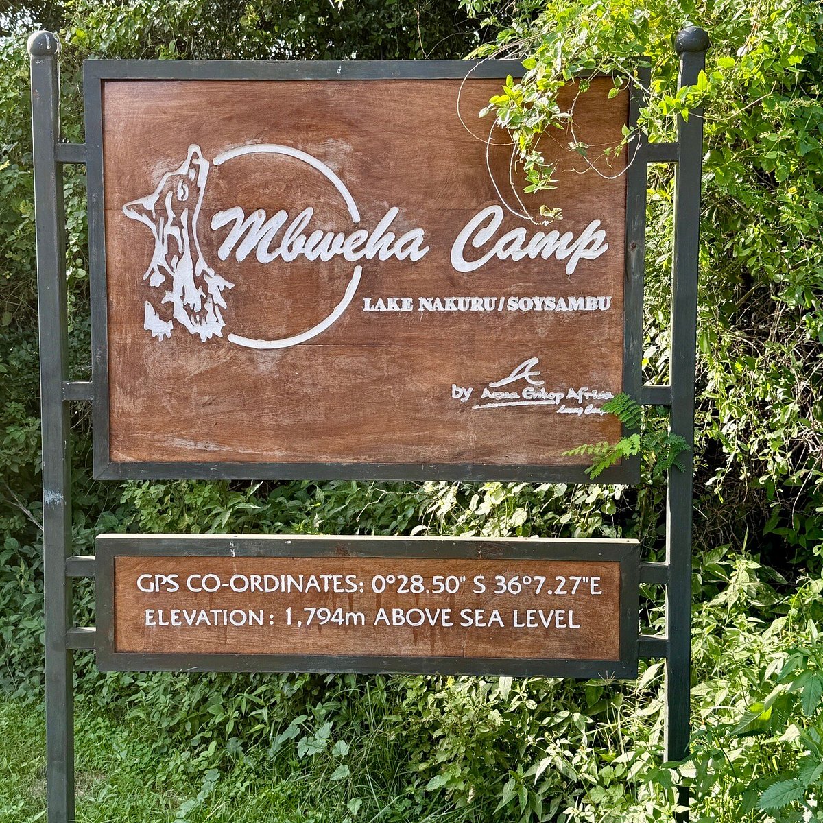 Mbweha Camp Nakuru image 1
