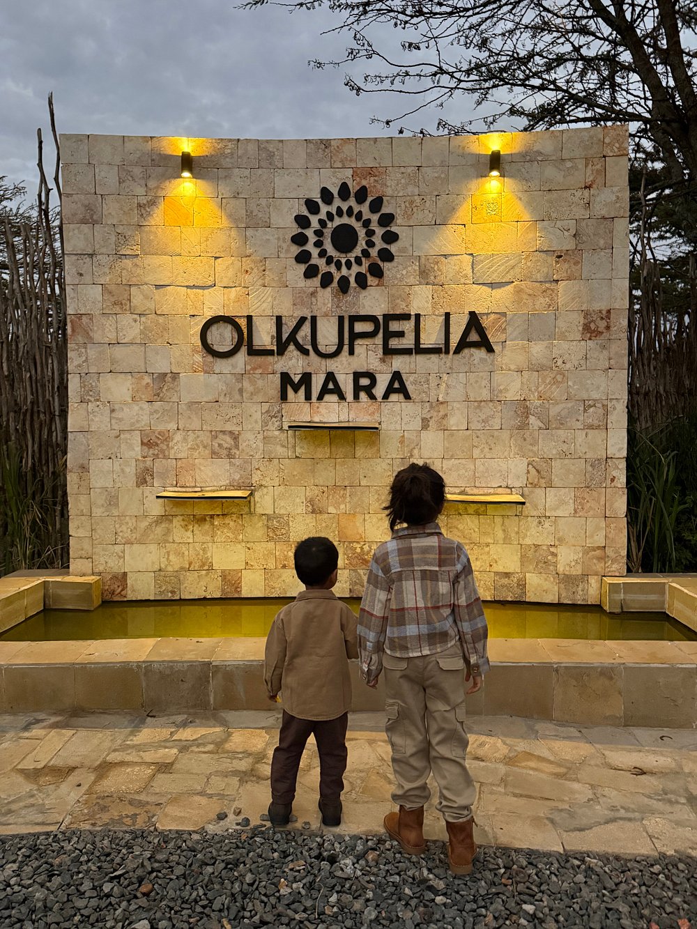 Olkupelia mara image 1