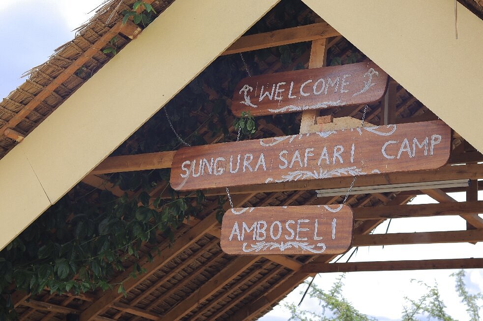 Sungura safari camp image 1