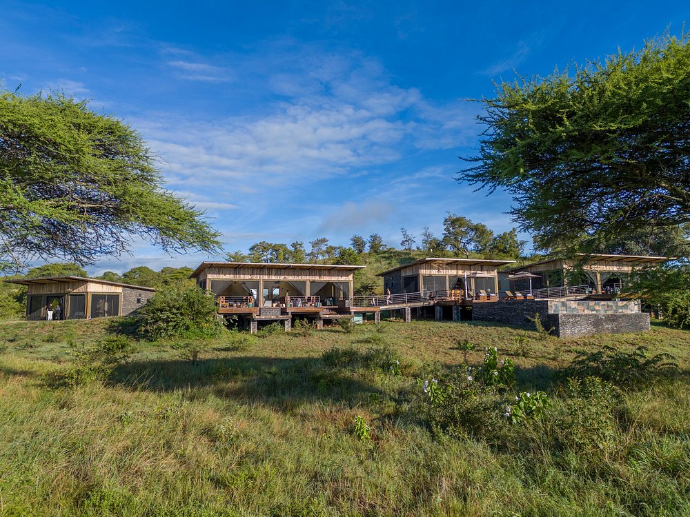 Tarangire Elephant Springs image 1