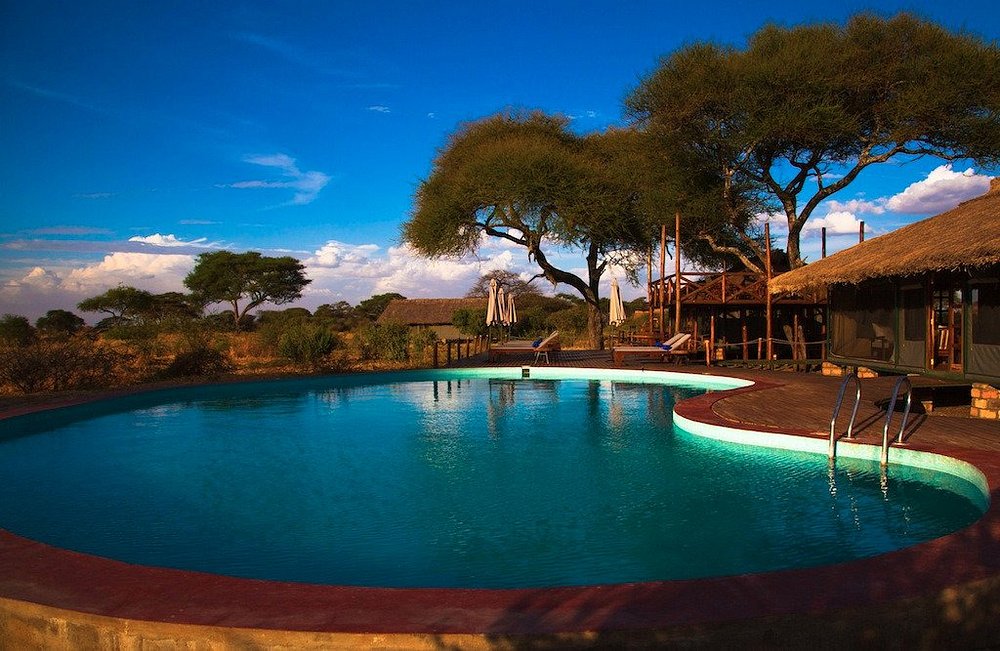 Tarangire Simba Lodge image 1