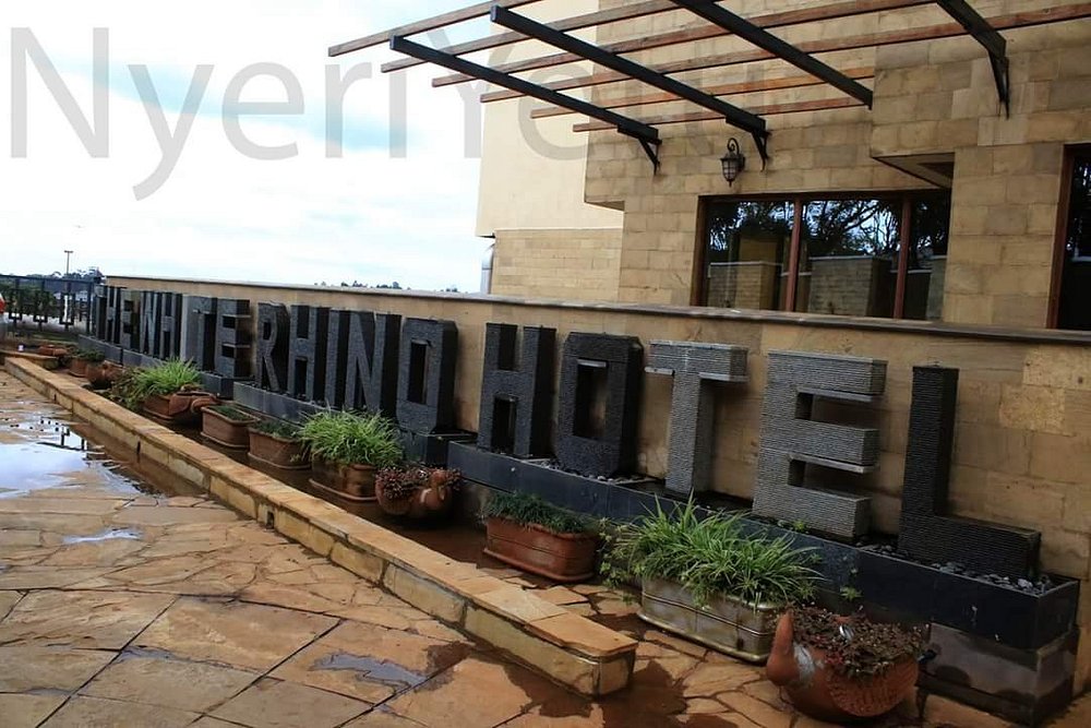 The White Rhino Hotel image 1