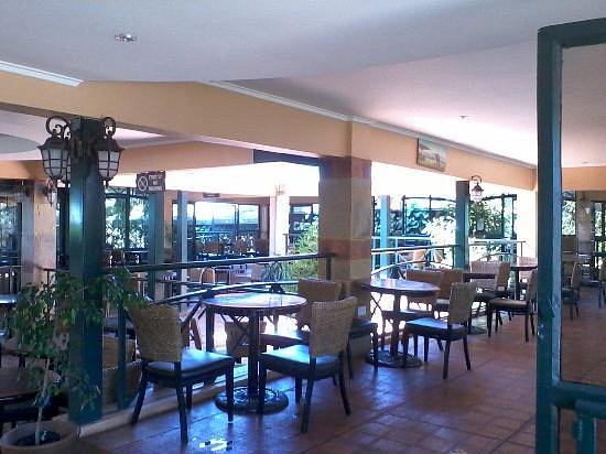 The White Rhino Hotel image 2