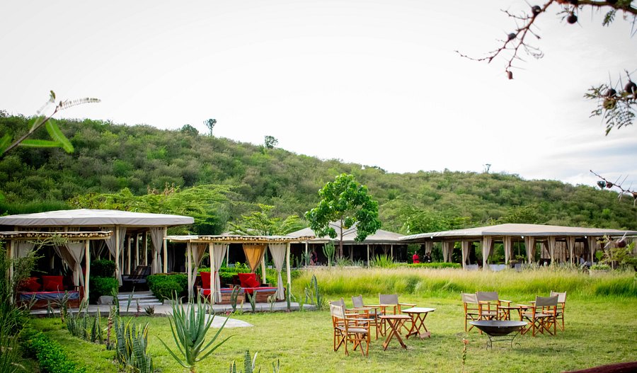 Zebra Plains Mara Camp