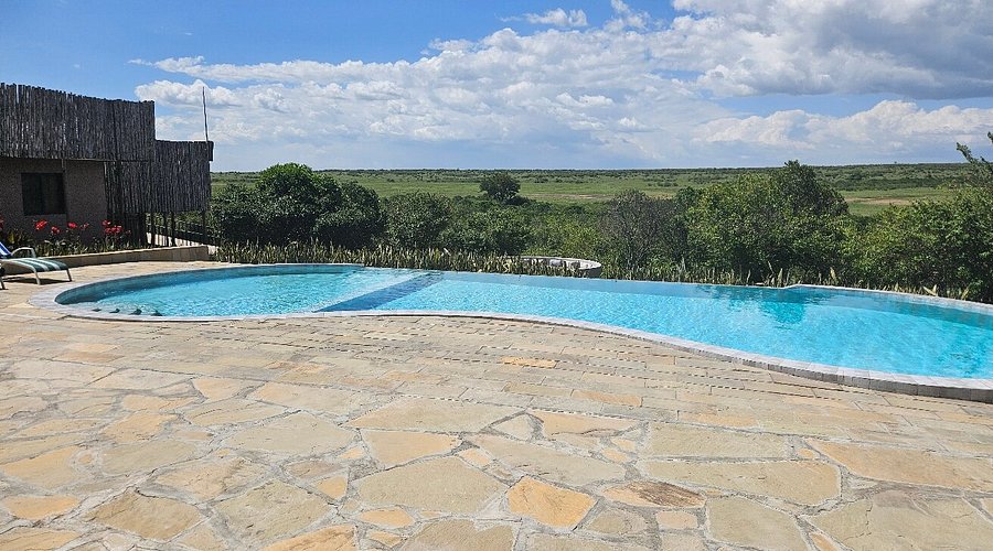 Zebra Valley Camp
