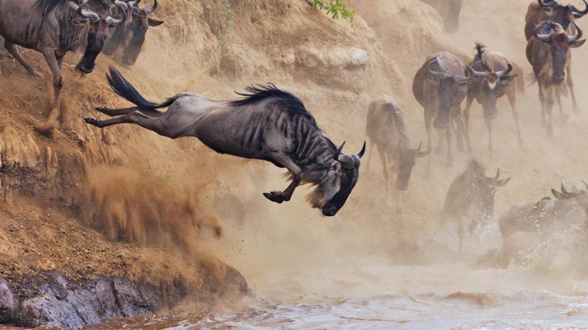 Great Migration Safari Tours | Kenya & Tanzania | Polmans Holiday