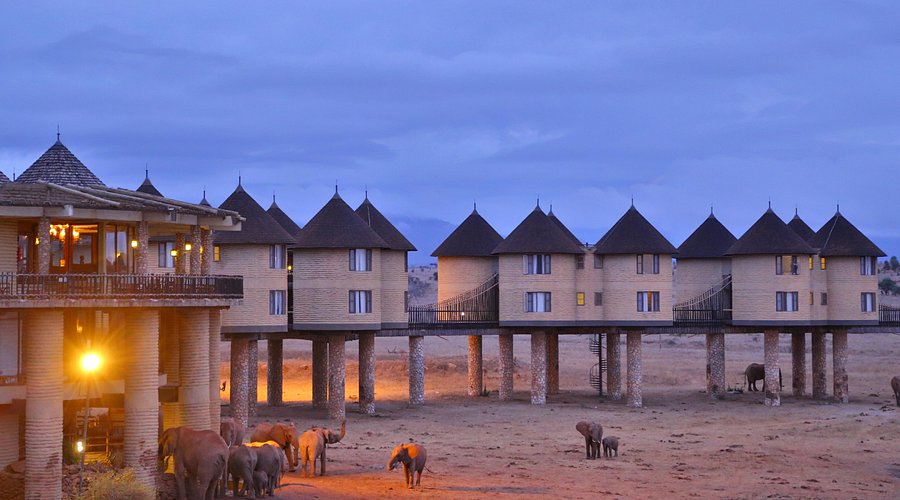 2 Days / 1 Night Salt Lick Safari Lodge
