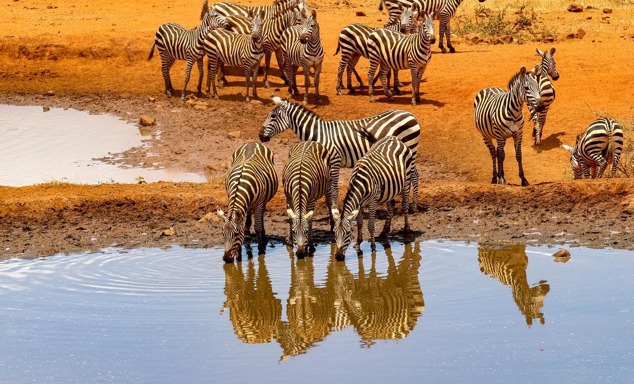 22 Days Best of Kenya