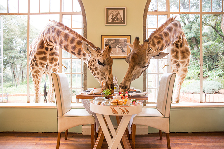 3 Days 2 Nights Giraffe Manor Nairobi Luxury Safari