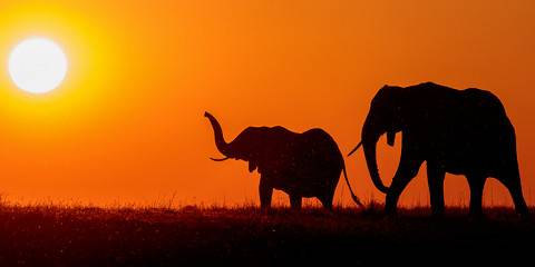 3 Days / 2 Nights Serengeti and Ngorongoro Crater National Park Safari Tanzania