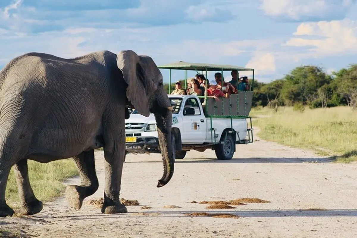 3 Days Etosha National Park Safari