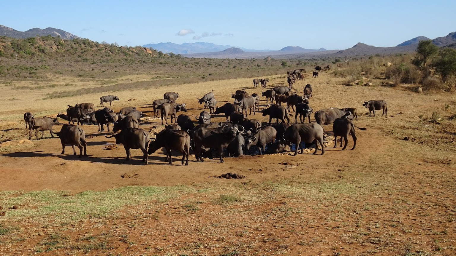4 Days 3 Nights Tsavo East National Park Tsavo west National Park and Amboseli national park Kenya Safari