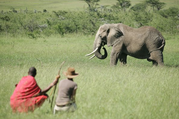 4 Days / 3 Nights VIP Maasai Mara Private Conservancy Safari