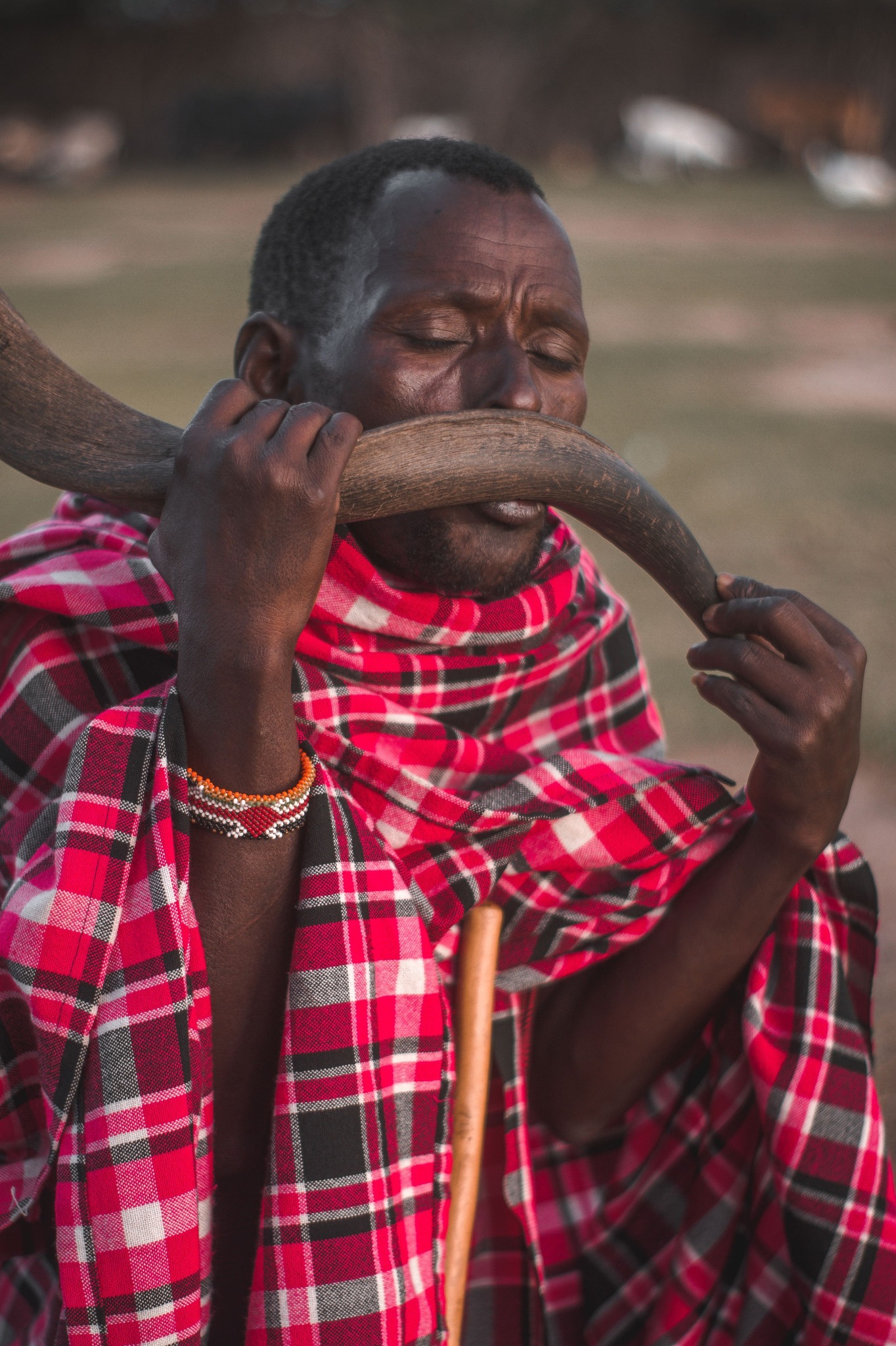 5 Days / 4 Nights Arusha – Serengeti – Ngorongoro Crater Private Safari