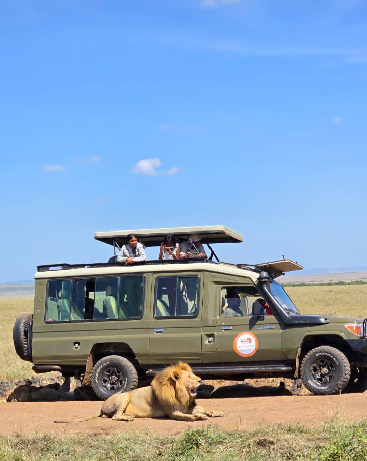 5 Days / 4 Nights Arusha –Tarangire - Serengeti – Ngorongoro Crater Private Safari