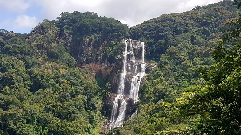 5 Days 4 Nights Selous, Mikumi, Udzungwa National Park Safari