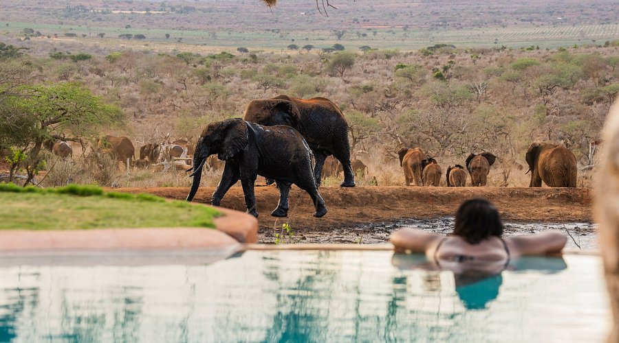 5 Days / 4 Nights Tsavo VVIP Safari at Hildana Lodge
