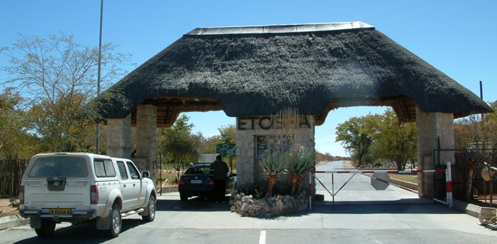 5 Days Taste of Etosha Safari – Namibia Wildlife Adventure