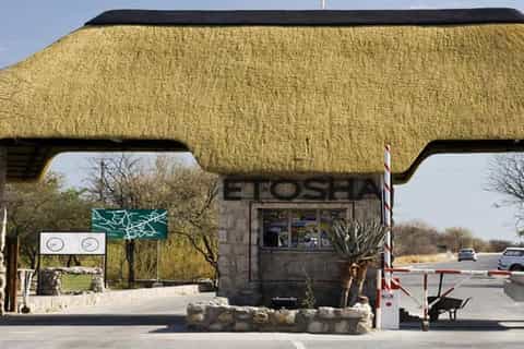 5 Days Taste of Etosha Safari – Namibia Wildlife Adventure