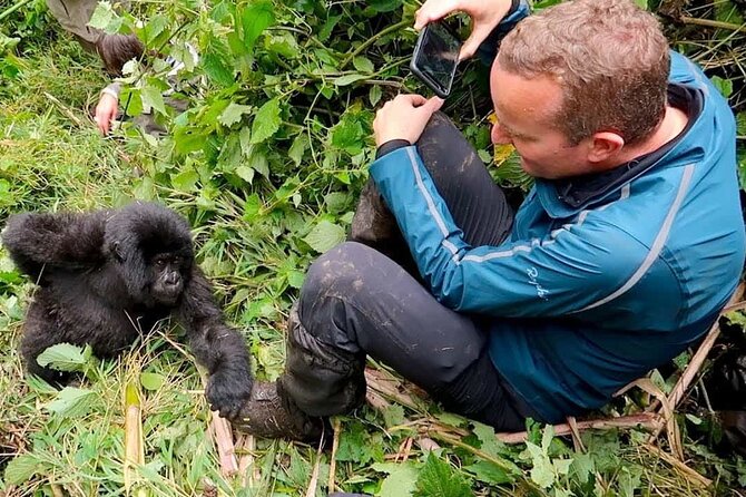 6-Day Cultural & Nature Hybrid Rwanda Safari – Gorillas, Chimps, Lake Kivu & Traditional Villages