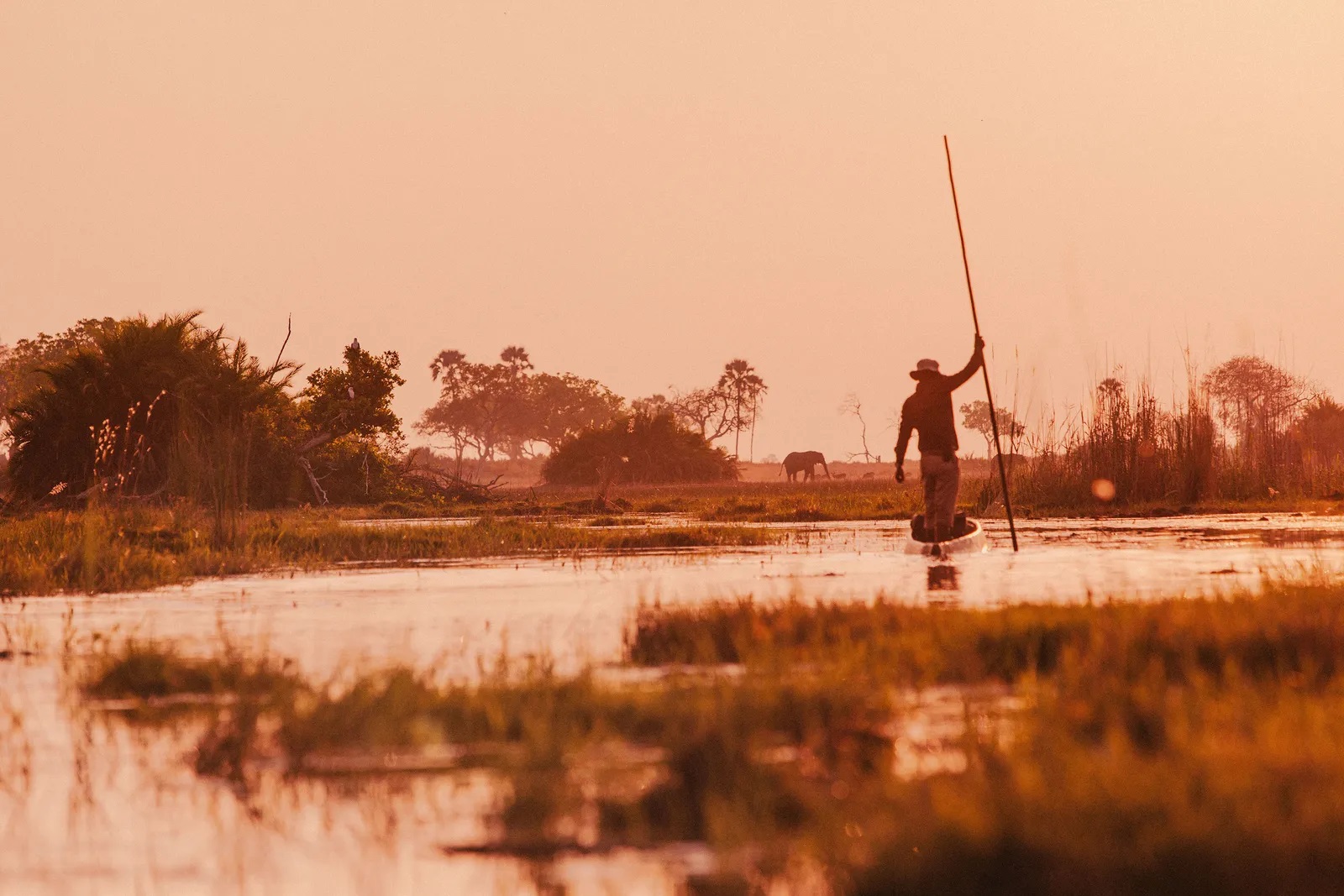 6 Days / 5–6 Nights – Okavango Delta Focus Safari (VERY POPULAR MID-RANGE)