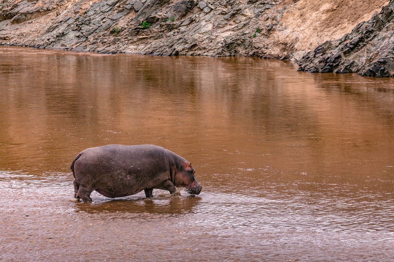 7 Days 6 Nights Samburu, Aberdares, Nakuru, Masai Mara