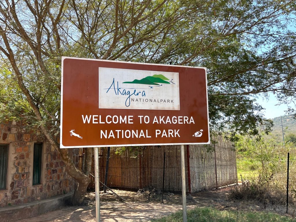 Akagera National Park Day Safari – Full Day Big Five Wildlife Tour from Kigali