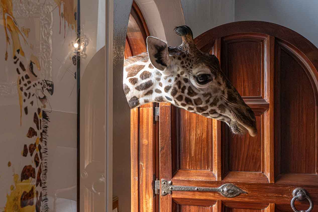 Exclusive Kenya Luxury Safari: Giraffe Manor & Maasai Mara Adventure