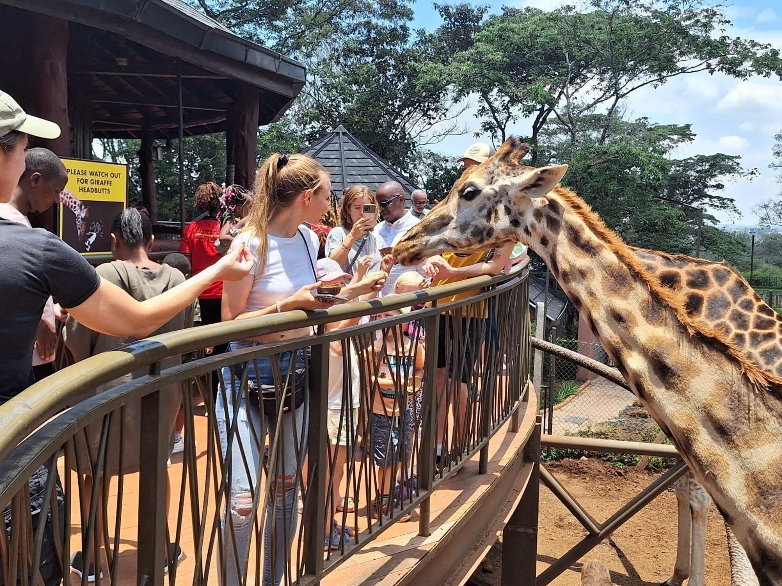 Nairobi National Park, Elephant Orphanage & Giraffe Centre Tour