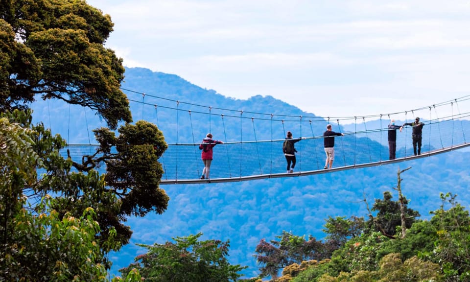 Nyungwe Forest Canopy Walk & Day Hike Tour – Full Day Rainforest Adventure from Kigali