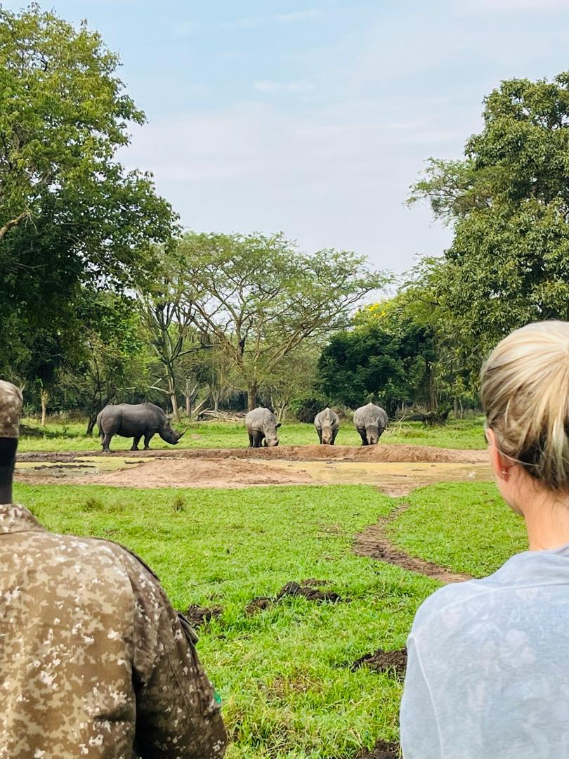 UGANDA GORILLA SAFARI, 6 DAYS GORILLA TREKKING, CHIMPANZEE & WILDLIFE TOUR IN UGANDA