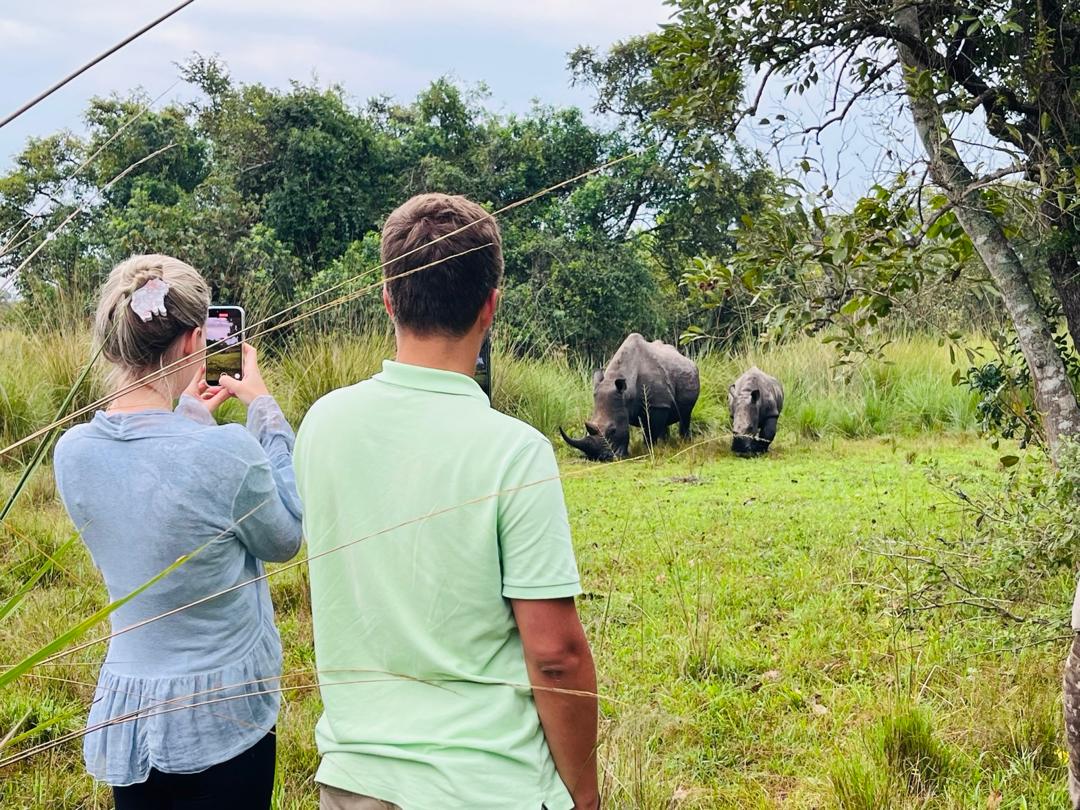 UGANDA GORILLA SAFARI, 6 DAYS GORILLA TREKKING, CHIMPANZEE & WILDLIFE TOUR IN UGANDA